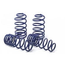 Load image into Gallery viewer, H&amp;R Sport Springs for Ford Mustang Mach-E F-25mm R-20mm 2020 -